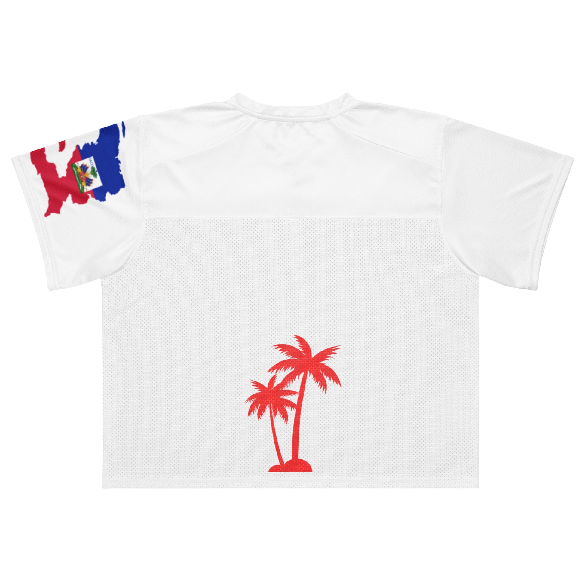 Haitian culture oversized t-shirt Ayiti Nan Mondial design